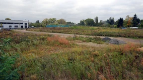 Ein Tunnel für Fledermäuse und Riederwälder