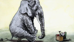 Karlsruhe Unlimited?