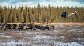 Auf den Spuren der Sami-Kultur