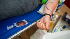 Schwule sollen leichter Blut spenden dürfen