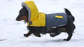 Eine Gemeinschaft wie im Märchen