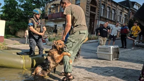 Woran wir nach dem Dammbruch Halt suchen