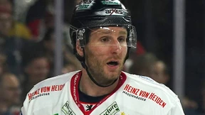 Verstärkung für die Löwen