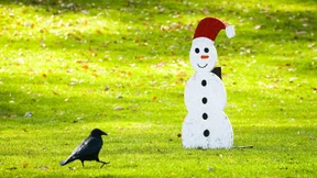 Ein Vorgeschmack auf den Frühling