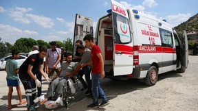 Huckepack zur Wahlurne