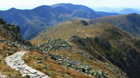 Der mutige Weg zur Vision Zero