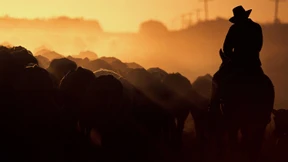 Minen-Millardärin wird Viehzüchterin