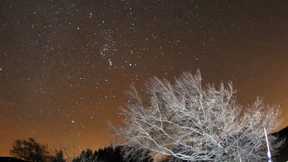 Heute Nacht kommen die Leoniden