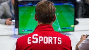 Die virtuelle Bundesliga als Marketing-Instrument