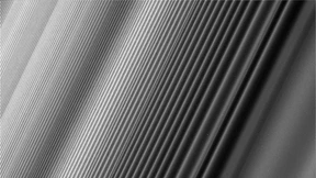 Grazile Staubmuster zum Abschied