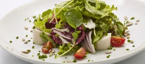 Die düstere Seite der Palmenherzen