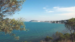 Immer wieder neue Horizonte