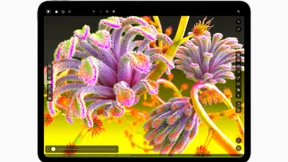 Hat nicht so lange gedauert