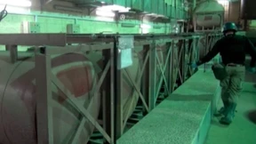 Friedensnobelpreis auf Vorschuss