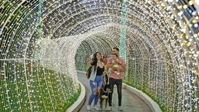 Wenn Weihnachtsstimmung angeordnet wird