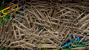 Gehen ideologische Überzeugungen aus der Biologie hervor?