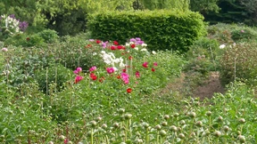 Farbenrausch zu Pfingsten