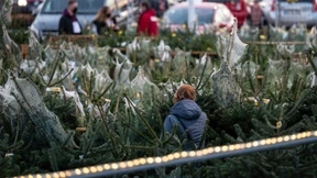 Baummarkt statt Baumarkt