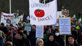 Tausende demonstrieren für sozial-ökologische Agrarpolitik