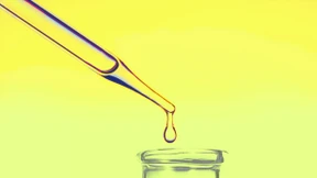 Lindau und die Chemie des Wandels