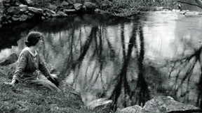 Wie Mehltau der Tod auf den Tagen