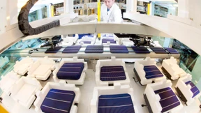 Bosch steigt aus Solargeschäft aus