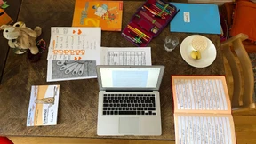 Die SPD zwischen Romantik und Frühkapitalismus