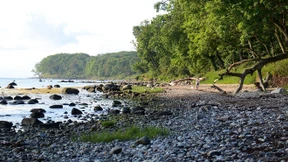 Das Rätsel der blauen Kreuze