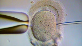 Das gefährlichste Gesetzesvorhaben