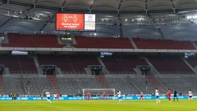 Der VfB Stuttgart hat ein Wildtierproblem
