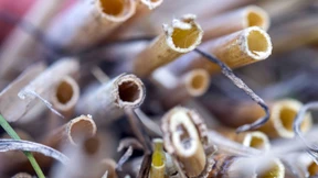 Geldanlage ist kein Bioprodukt