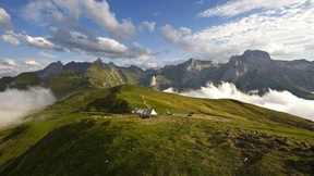 Sagt der Bär dem Geier gute Nacht