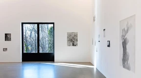 Jochen Lempert im Frankfurter Portikus