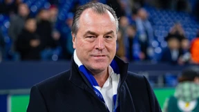 Corona-Tests statt Schweineblut-Analyse