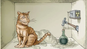 Schrödingers Katze erhellt das Quantenreich