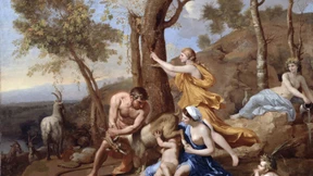 Das göttliche Insekt