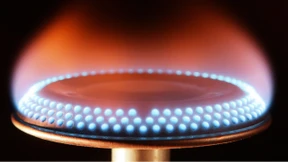 Gold und Dosenfutter