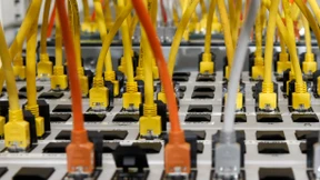 Das Lieblingskind des Kontrollwahns