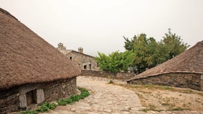 Die Hunde heulen, die Toten klagen