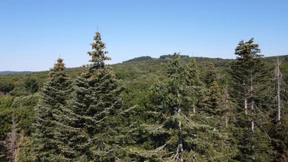 Leserbriefe vom 12. Oktober 2022