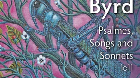 Die weise Ameise und der dumme Grashüpfer