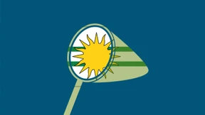 Was für eine schöne Fahne