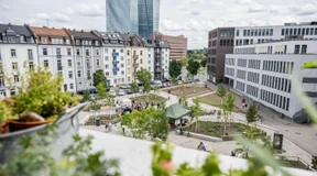 Was bringt die grüne Stadt?