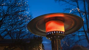 Ein Pilz als Restaurant-Retter?