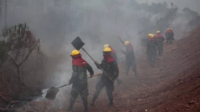 Auch in Bolivien steht der Regenwald in Flammen