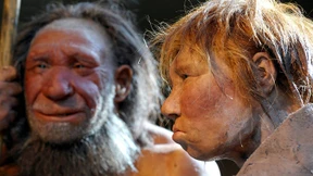 Das Dreckige glänzt