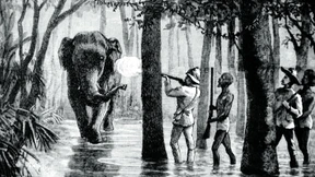 Orwell und der Schrecken des Kolonialismus