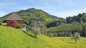 Oh, wie schön ist das Landleben! Wirklich?