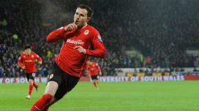 Wilde Vögel in Cardiff