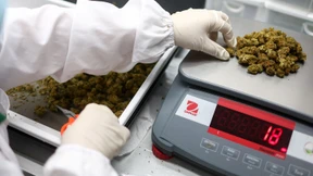 Lauterbach-Pläne sehen legalen Besitz von 25 Gramm vor